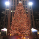 Illustration for article titled Whats More Green: A Fake Christmas Tree or a Real Christmas Tree?